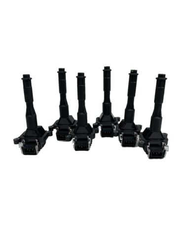 6 Pack Ignition Coil For BMW 323i 325i 328i 330i 525i 528i 530i E46 E39 M3 M5 X5