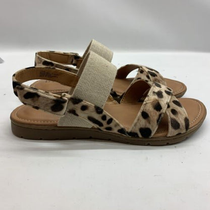 Born BOC Women's Caty Sandal Size 10 Leopard Vegan Shoe Ankle Strap Flat Casual