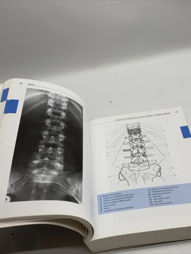 Pocket Atlas of Radiographic Anatomy 3rd Edition (Flexibooks) Torsten B. Moeller