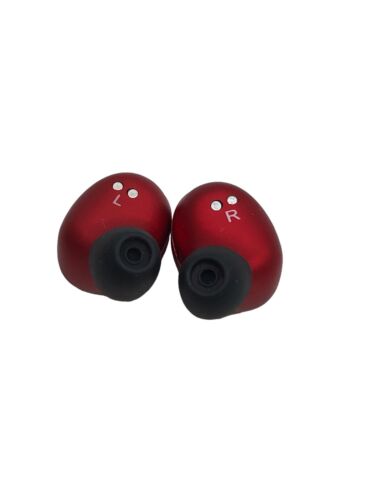 Raycon The Everyday Bluetooth Wireless Earbuds with Microphone