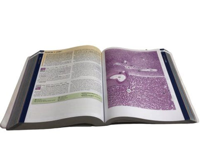 Histology: A Text and Atlas Book 8th Edition: With Paperback by Pawlina MD FAAA