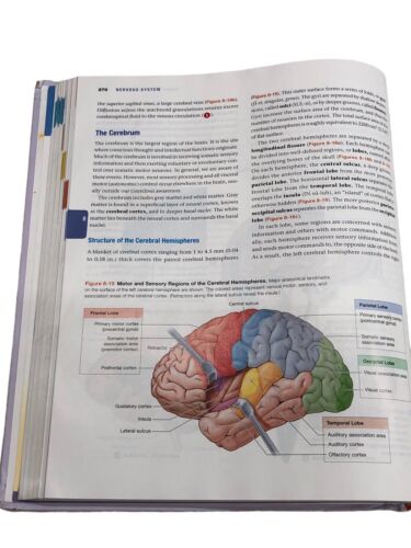 Essentials of Anatomy & Physiology 7th Edition by Frederic H. Martini & Edwin F.