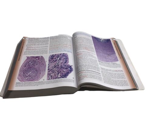 Histology: A Text and Atlas Book 8th Edition: With Paperback by Pawlina MD FAAA