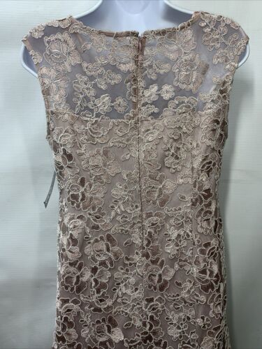 Alex Evenings Women's Long Fit Sleeveless Flare Dress Rose Lace lace Size 6P